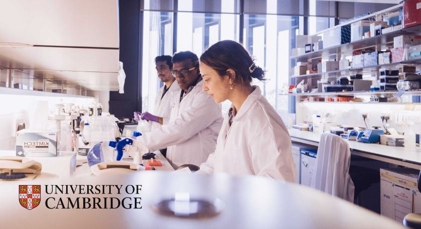 Cambridge Lab / Research Setting